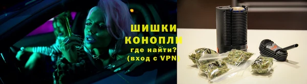 дмт Пестово
