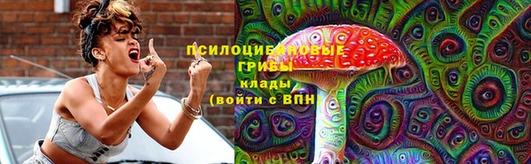 метамфетамин Алексин