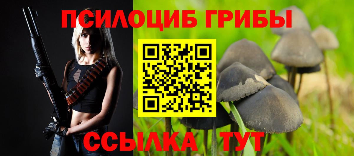 Галлюциногенные грибы прущие грибы  Вход с VPN  Нефтекумск 